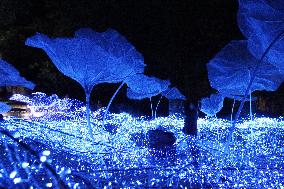 THAILAND-RATCHABURI-NASATTA LIGHT FESTIVA