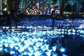 THAILAND-RATCHABURI-NASATTA LIGHT FESTIVA