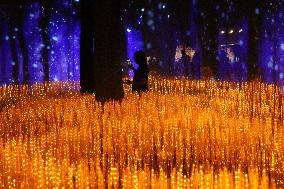 THAILAND-RATCHABURI-NASATTA LIGHT FESTIVA