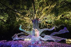 THAILAND-RATCHABURI-NASATTA LIGHT FESTIVA