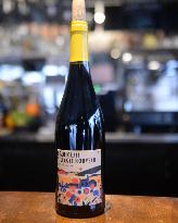 Illustration - Beaujolais Nouveau 2025 - Paris