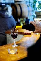 Illustration - Beaujolais Nouveau 2025 - Paris