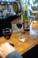 Illustration - Beaujolais Nouveau 2025 - Paris