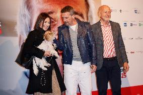43 Turin Film Festival - Antonio Banderas at Stella della Mole Award’s photocall