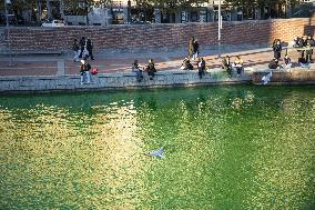 Extinction Rebellion Blitz Paints Navigli and Darsena Canals Green To Protest Against Climate Change - Italy