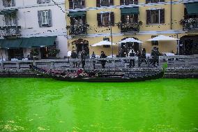 Extinction Rebellion Blitz Paints Navigli and Darsena Canals Green To Protest Against Climate Change - Italy