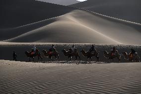 Tourists On Camels At Mingsha Mountain and Crescent Spring Scenic Area - China