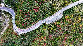 Wuxia Gorge Near Yangtze River - China