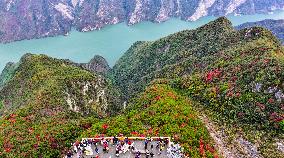 Wuxia Gorge Near Yangtze River - China