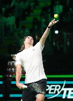 Davis Cup 2025 Top 8 - Italy