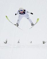 Ski jumping: World Cup in Lillehammer