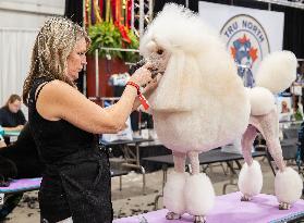 Christmas Canadian Pet Expo - Canada