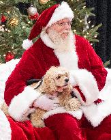 Christmas Canadian Pet Expo - Canada