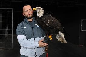 CALCIO - Serie A - SS Lazio vs US Lecce