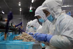 Salt Field Shrimp Processing in Binzhou