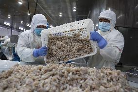 Salt Field Shrimp Processing in Binzhou