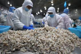 Salt Field Shrimp Processing in Binzhou