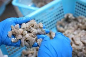Salt Field Shrimp Processing in Binzhou