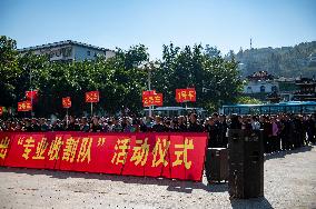 Labor Service Export