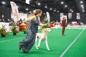 National Championship Dog Show - Toronto