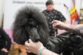National Championship Dog Show - Toronto