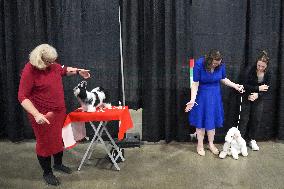 National Championship Dog Show - Toronto