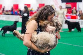 National Championship Dog Show - Toronto