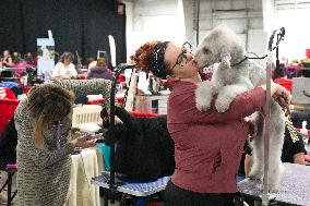 National Championship Dog Show - Toronto
