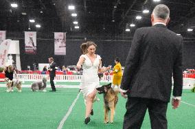 National Championship Dog Show - Toronto