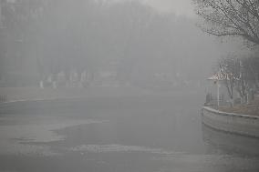 Thick Fog Hit Shenyang