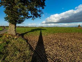Illustration - Farmland at Normandy Countryside - France