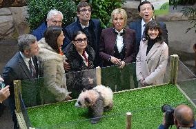 Famous Pair Of Pandas Will Leave Beauval Zoo For China - France