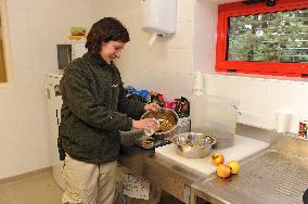 Famous Pair Of Pandas Will Leave Beauval Zoo For China - France