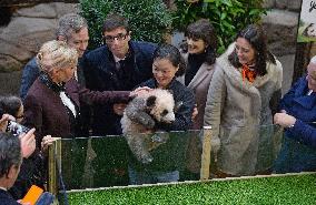 Famous Pair Of Pandas Will Leave Beauval Zoo For China - France