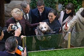 Famous Pair Of Pandas Will Leave Beauval Zoo For China - France