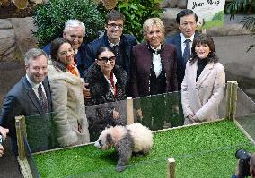 Famous Pair Of Pandas Will Leave Beauval Zoo For China - France