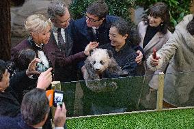 Famous Pair Of Pandas Will Leave Beauval Zoo For China - France