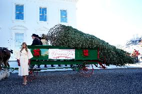 Melania Trump welcomes Christmas Tree - Washington
