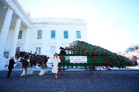 Melania Trump welcomes Christmas Tree - Washington