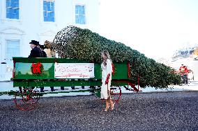 Melania Trump welcomes Christmas Tree - Washington