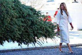 Melania Trump welcomes Christmas Tree - Washington