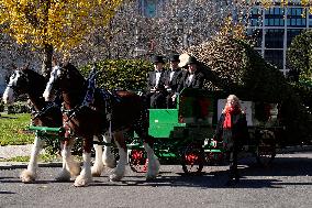 Melania Trump welcomes Christmas Tree - Washington