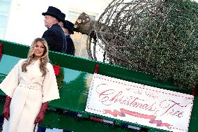 Melania Trump welcomes Christmas Tree - Washington