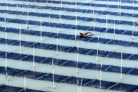 Seaweed Harvest in Fuzhou