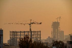 Air Pollution - Tehran