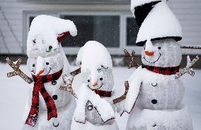 Snow Falls Over Canada