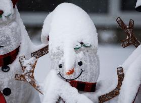 Snow Falls Over Canada