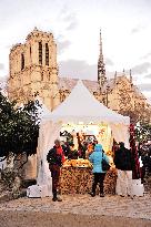 Illustration - Christmas in Paris