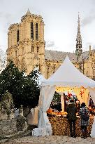 Illustration - Christmas in Paris