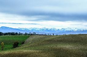 Illustration - Lauragais landscapes